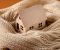 20250310-styropian-czy-welna